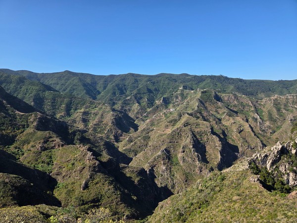 Blick über eine zerklüftete grüne Berglandschaft mit tiefen Schluchten unter einem klaren blauen Himmel auf Teneriffa.