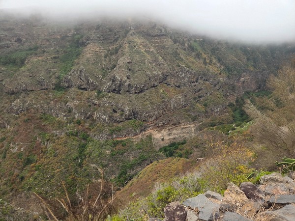 Nebel hängt über den steilen Hängen des Barranco Ruiz mit Felsen, Terrassen und dichter Vegetation.