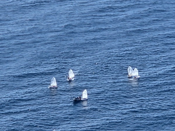 Mehrere kleine Segelboote fahren auf dem tiefblauen Meer bei ruhiger bis leicht bewegter Wasseroberfläche.