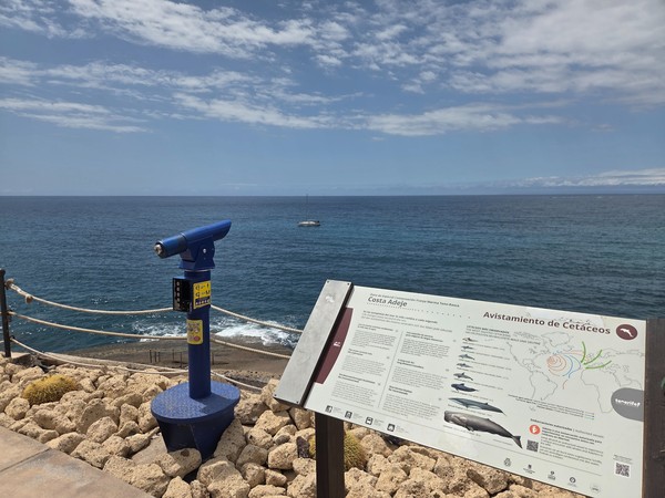 Ein Aussichtspunkt an der Küste von Costa Adeje mit blauem Fernrohr, Infotafel zur Walbeobachtung und ruhigem Meer im Hintergrund.