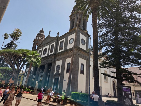Eine historische Kirche in La Laguna mit Palmen, Glockenturm und sonnigem Platz im Vordergrund.