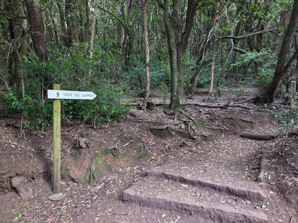Ein Wegweiser nach Cruz del Carmen steht an einer erdigen Kreuzung mitten im grünen Wald von Anaga.