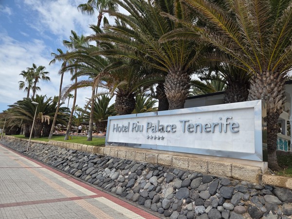 Das Schild des Hotel Riu Palace Tenerife steht vor Palmen, Lavasteinen und der Promenade an der Küste.