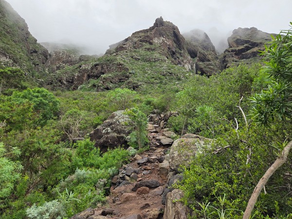 Ein steiniger Bergpfad führt durch dichtes Grün zu schroffen Felsen, die teilweise im Nebel verschwinden.