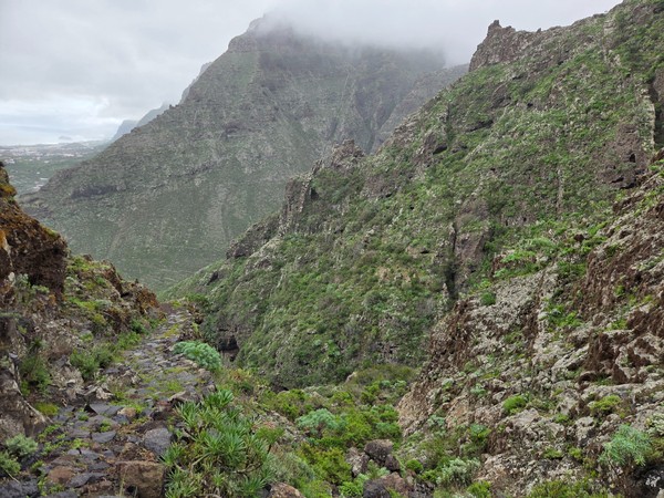Grüne felsige Berge im Norden Teneriffas mit steinigem Wanderweg und tief sitzenden Wolken.