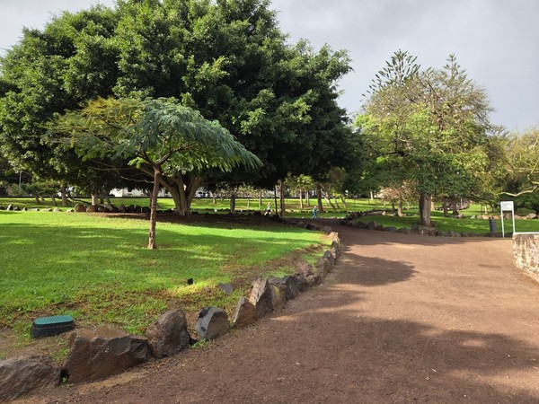 Breiter Weg im Parque La Granja in Santa Cruz de Tenerife mit gepflegten Rasenflächen und großen Bäumen.