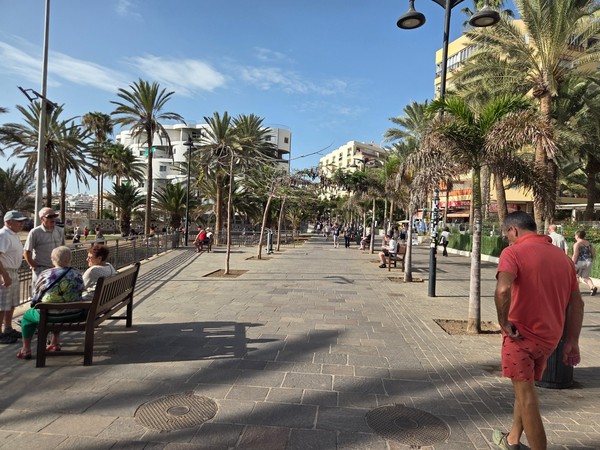 Palmenpromenade im Süden von Los Cristianos mit Spaziergängern, Bänken und Gebäuden in Meeresnähe.