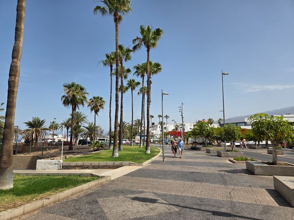 Eine breite Promenade mit hohen Palmen, Spaziergängern und gepflegten Grünflächen verläuft an der Küste von Playa de las Américas.