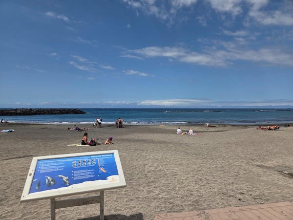 Der dunkle Sandstrand Playa de Torviscas liegt ruhig am Meer, während einige Menschen am Ufer entspannen.
