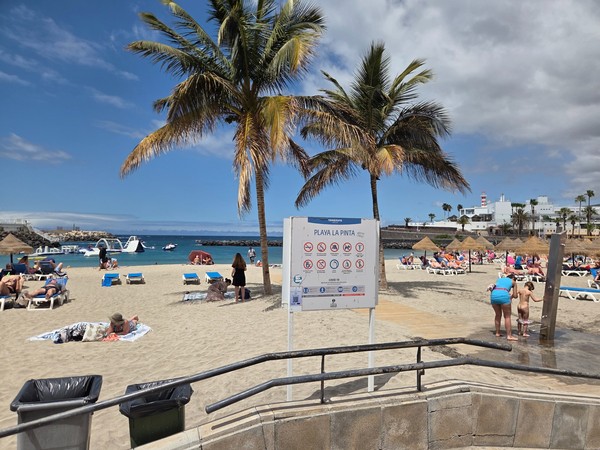 Zwei hohe Palmen rahmen den Blick auf den belebten Strand Playa La Pinta mit Sonnenliegen und blauem Wasser.