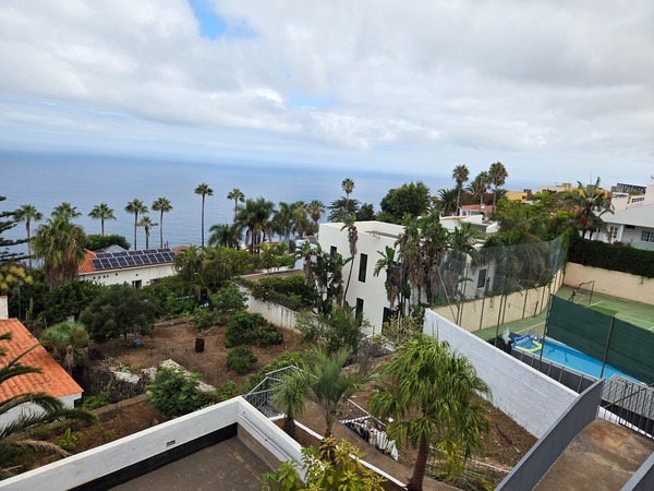 Blick über Wohnhäuser, Palmen und Gärten in El Sauzal mit dem Atlantik im Hintergrund unter bewölktem Himmel.